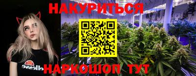 СК Ярославль