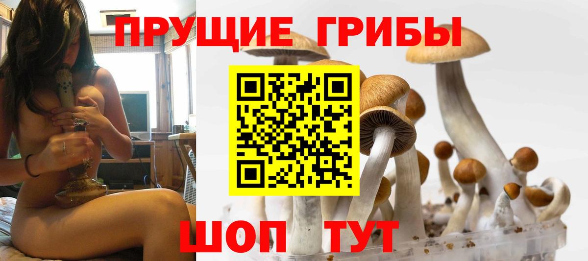 Галлюциногенные грибы Cubensis Котлас